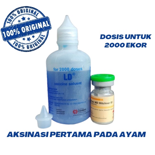 Vaksin ND Hitchner B1 2000 Vaksin Ayam Umur 1 - 7 hari Anti Virus