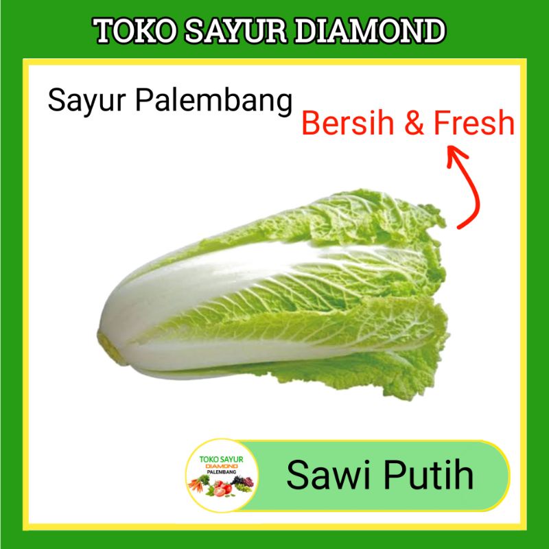 

Sawi Putih - Sayur Sayuran Segar Fresh Online Palembang