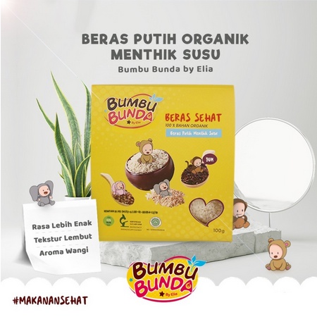 Bumbu Bunda Beras Organik 100Gr - Kabakids Store