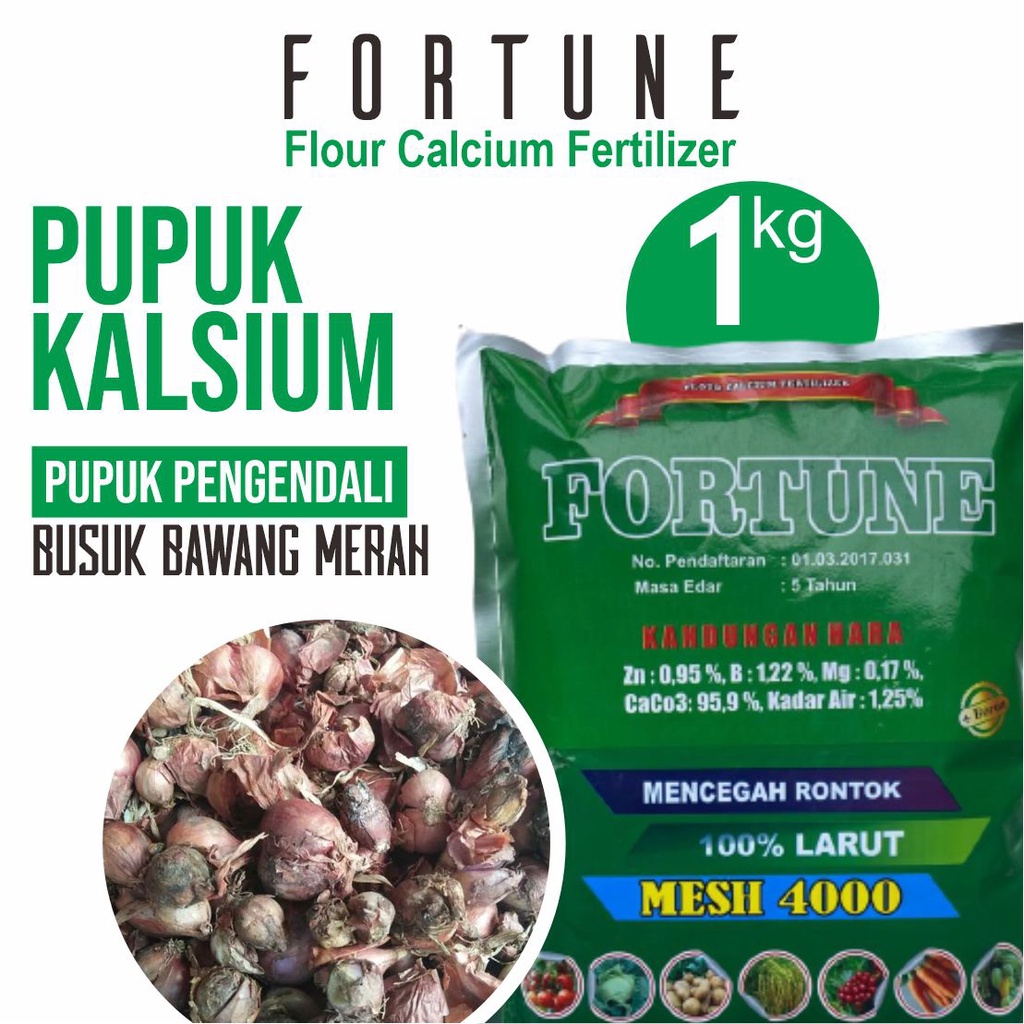 (REKOMENDED) Fortune 1 Kg Obat Busuk Buah Pada Bawang Merah - Obat Layu Pada Tanaman Bawang Merah - 