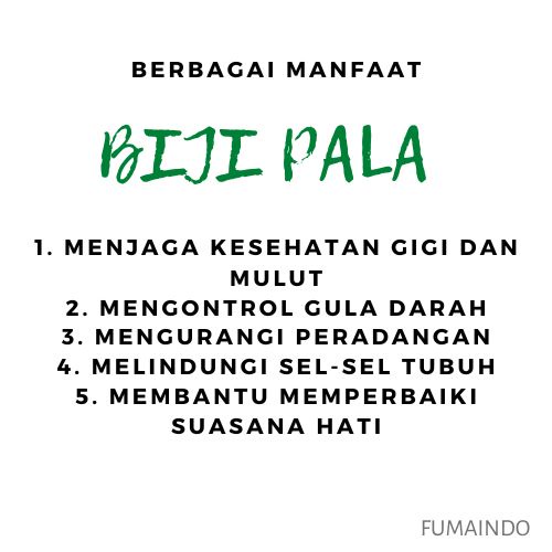 Biji Pala Utuh 100gr / Pala Asli / Nutmeg / Bumbu dapur / Rempah