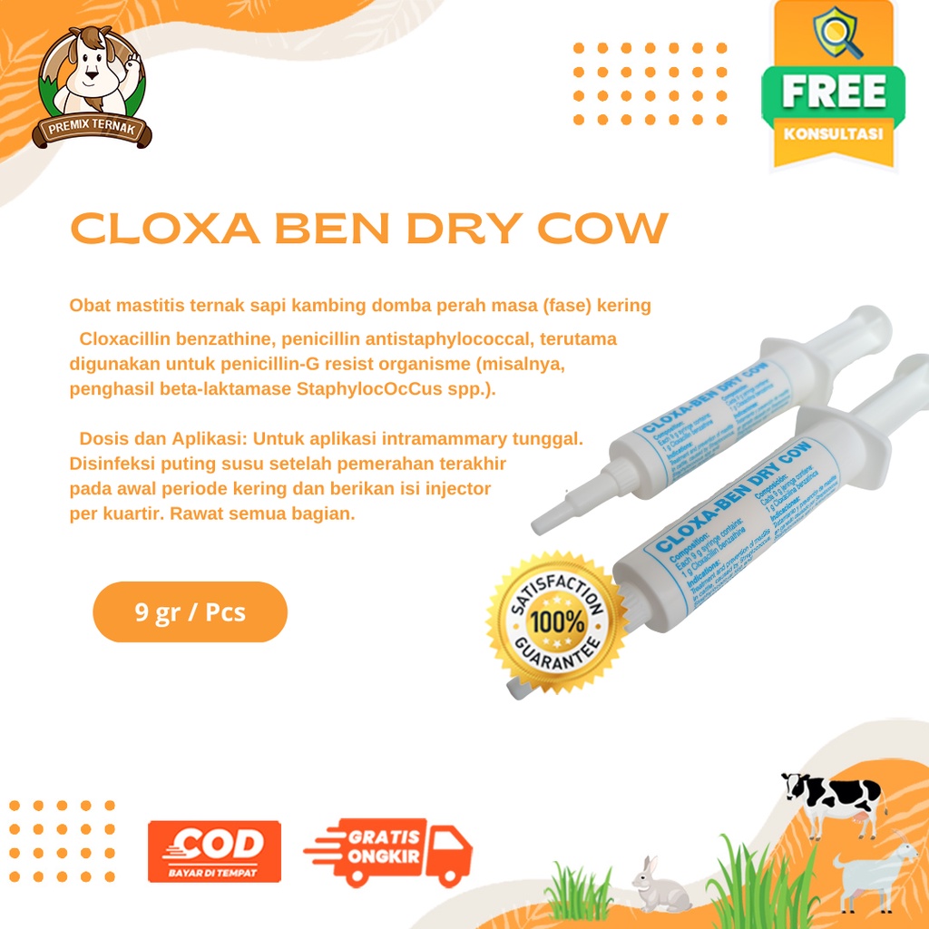 CLOXA BEN DRY COW 1 PCS - Obat mastitis ternak sapi kambing domba perah masa (fase) kering - MIRIP DEPOLAC - Premix Ternak