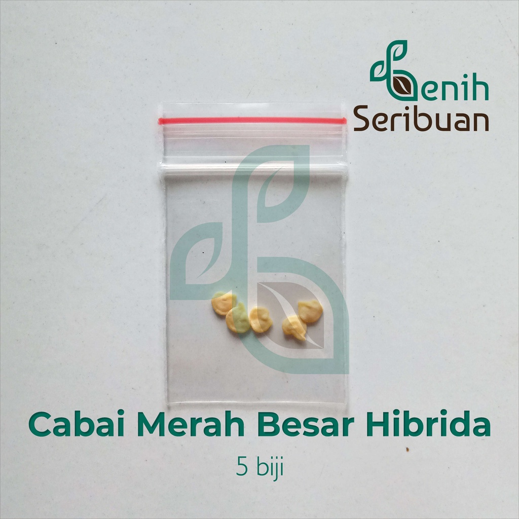 Benih Seribuan - 5 Bibit Cabe Merah Besar F1 Hibrida