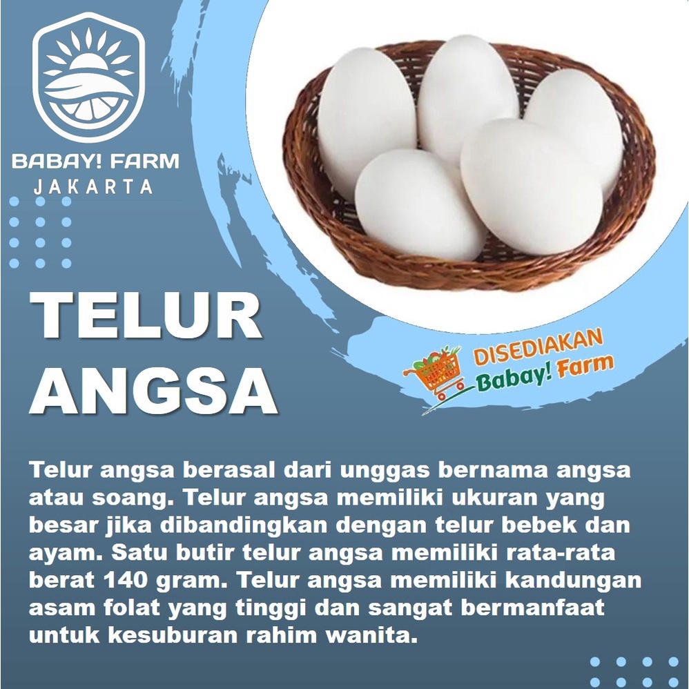 

Telur Angsa Konsumsi Promil / imunitas segar per butir pack