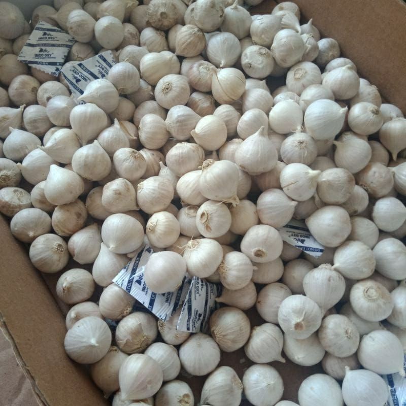 

bawang putih tunggal lanang super putih 1kg