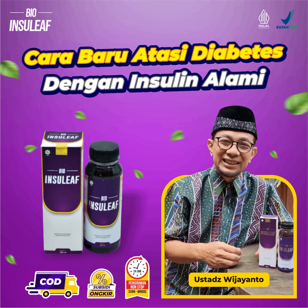 

BIO INSULEAF BAYAR DI TEMPAT Obati Diabetes Turunkan Gula Darah Atasi Cegah Kencing Manis Asam Urat & Kolesterol Original