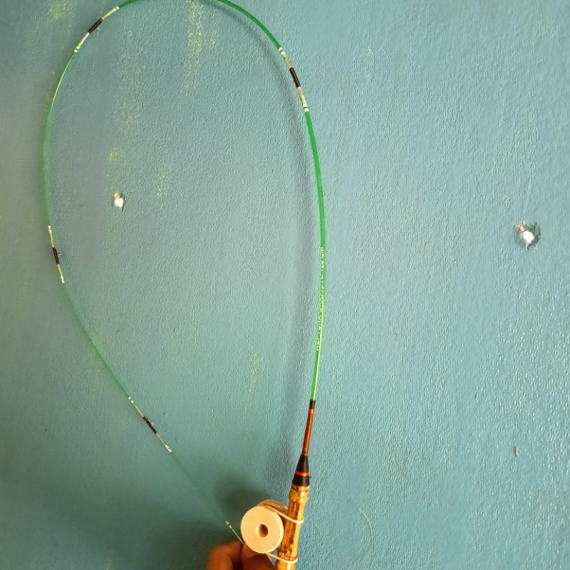 Joran lentur set bambu cendani golong kayu