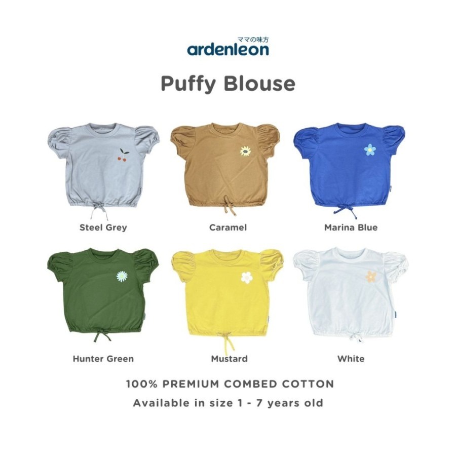 Ardenleon Puffy Blouse