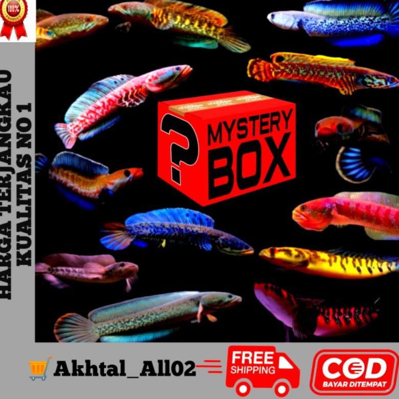 Hati-Hati Barang Palasu  [Dapat Mini Gold] MYSTERY BOX CHANNA TERLENGKAP TERMURAH DOOR PRIZE SETIAP 