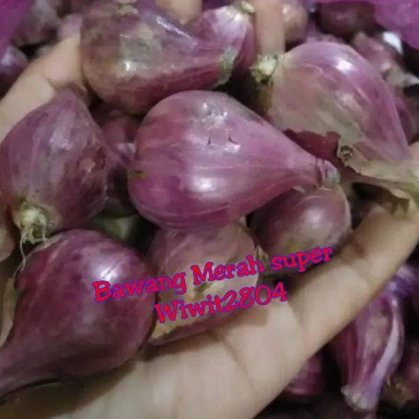 

CodeK0w0V Bawang Merah Brebes Super ukuran besar 1kg