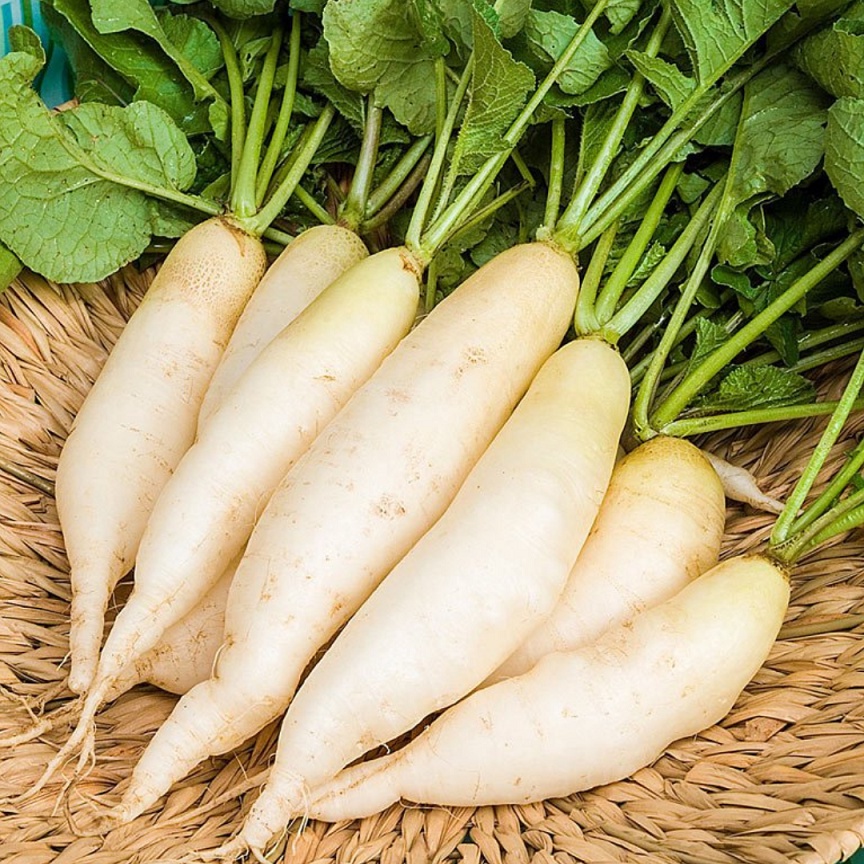 

Lobak Segar 500gr Sayuran Segar