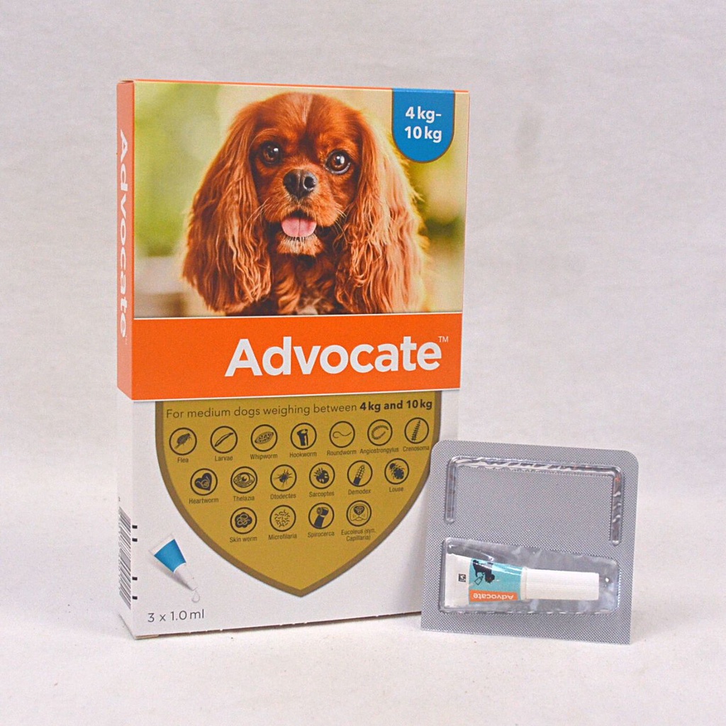 ADVOCATE Obat Kutu Anjing For Dog  4-10kg 1pcs