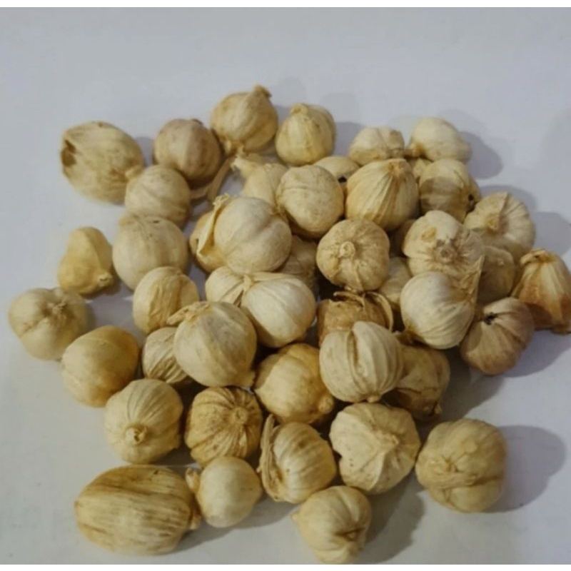 

kapolaga/ kapulaga / cardamon tersedia berat 10-100 gr