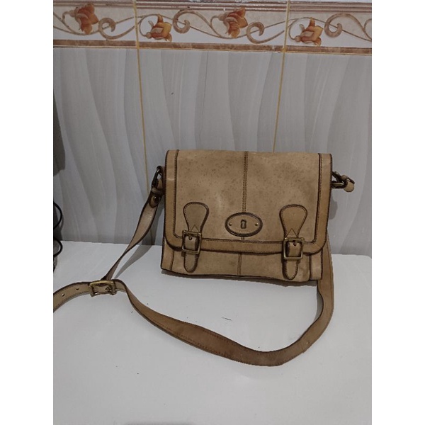 tas fossil