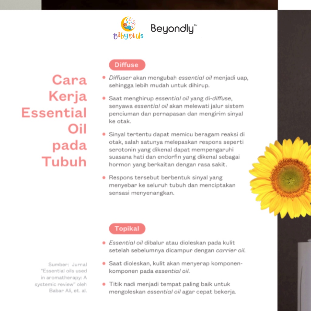 Beyondly Essential Oil - Meningkatkan Konsenstrasi Belajar Bekerja / Energy Booster Olahraga - Minyak Aromaterapi / Minyak Esensial