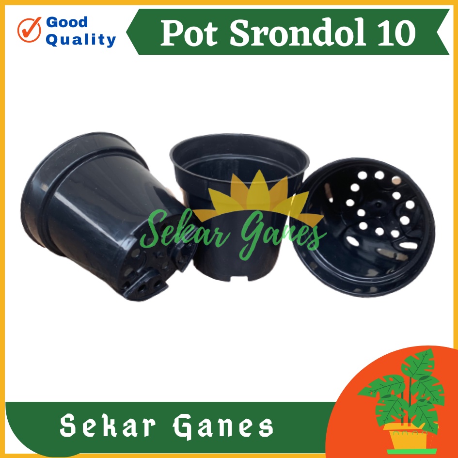 LUSINAN Pot 10 Cm Hitam Isi 12Pcs TERMURAH GROSIR Lusinan 12 pcs Pot Bunga Plastik Polos Kecil Murah