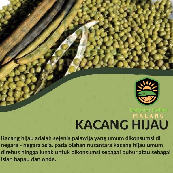 

Kacang Hijau / Ijo 250 500 gr 1 kg