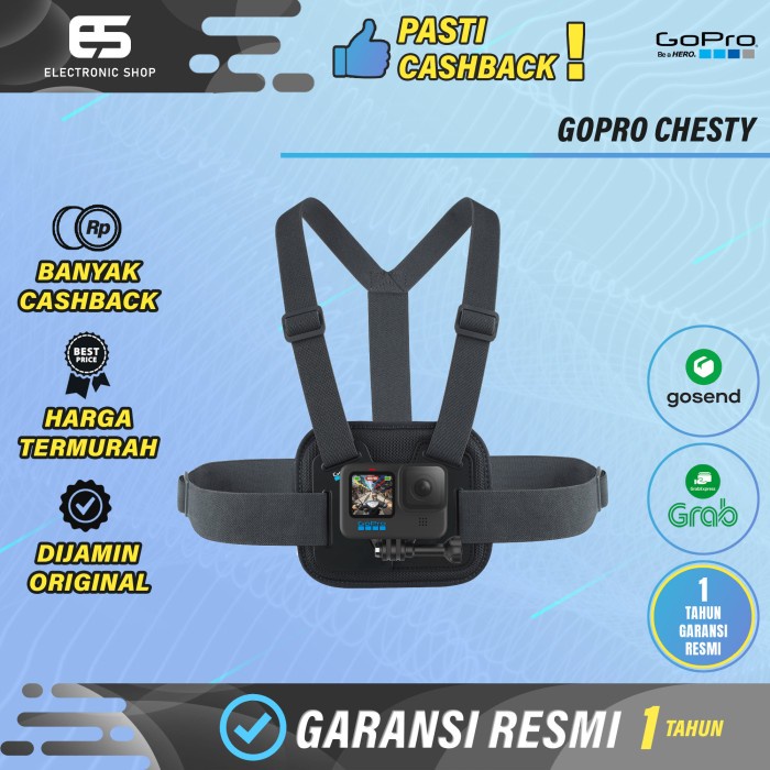 Str Gopro Chesty