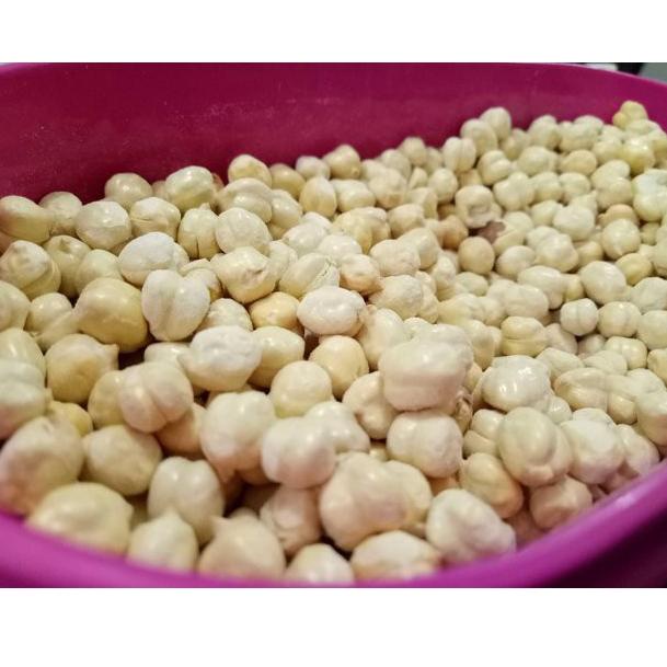 

TERKINI E899 Kacang arab Super ukuran 1 kg