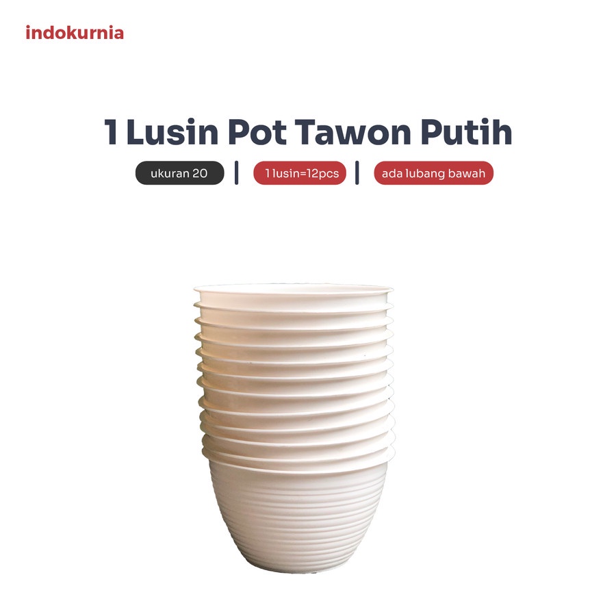 IK - 12PCS POT TAWON HITAM POT TANAMAN PIRUS TAWON MADU PUTIH 20 CM