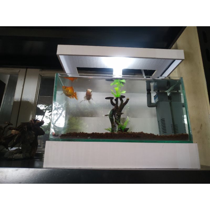 akuarium aqua scape ikan hias akuarium minimalis fulset