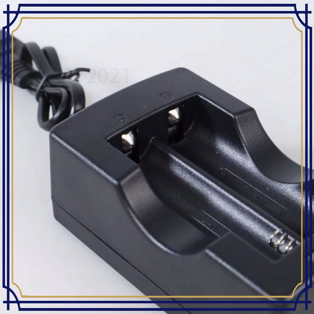 Charger Baterai Cell Charger 18650 Dual Slot - BT825