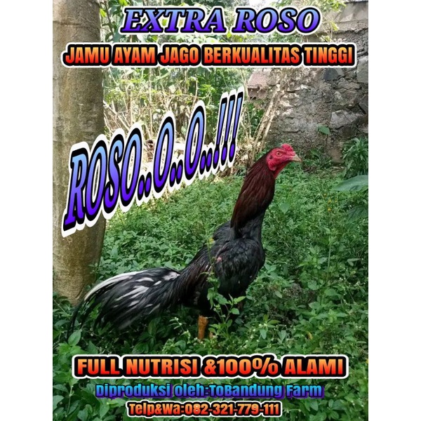 Jamu Ayam Jago