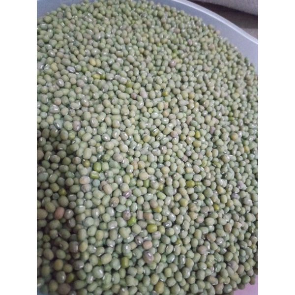 

kacangijo