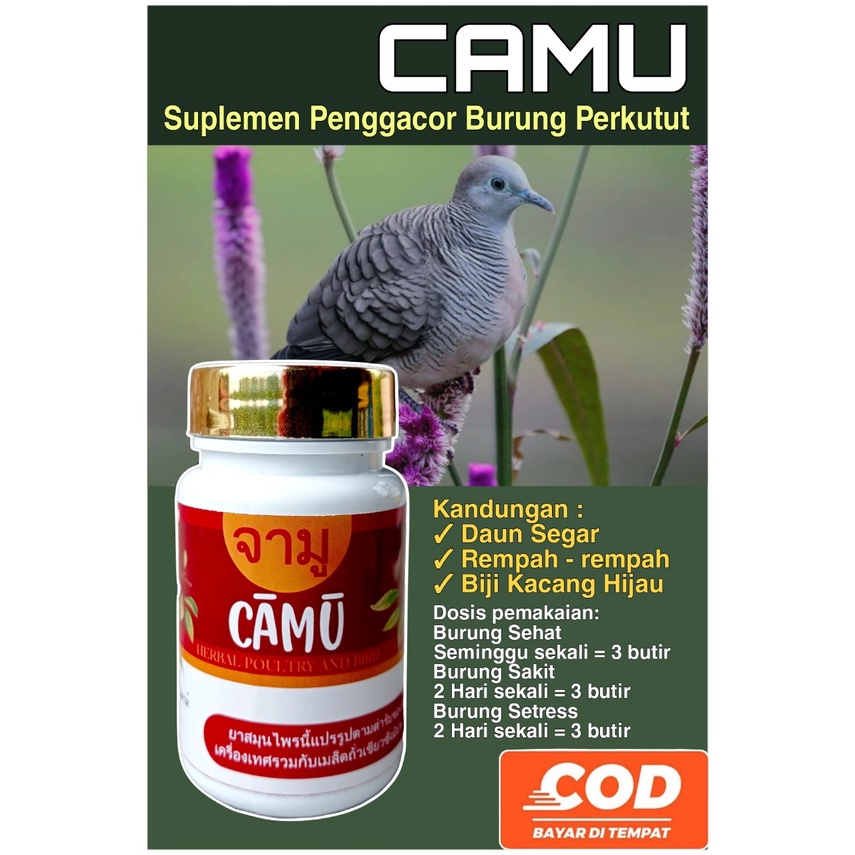 COD  Camu | vitamin burung perkutut | Jamu  perkutut | Berhadiah topi |Perkutut Gacor | RajinManggung | Perkutut Berkicau | Perkutut Lokal (isi 60 butir)