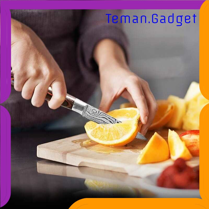 TD - DPR Xituo Set Pisau Dapur Knife Damascus Pattern Stainless Steel 5 PCS - DL5