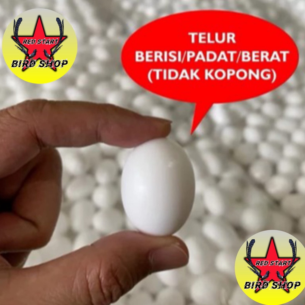 TELUR PALSU MAINAN BURUNG MERPATI TELUR PALSU MERPATI AYAM KATE TELOR TELUR PALSU MERPATI IMITASI BAHAN SOLID