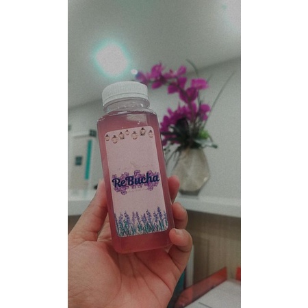 

Kombucha Butterflypea