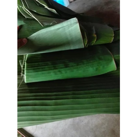 

Daun Pisang Segar 1 Kg