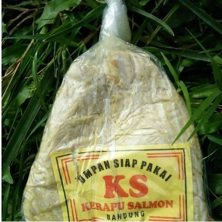 Umpan Ikan Kerapu Salmon