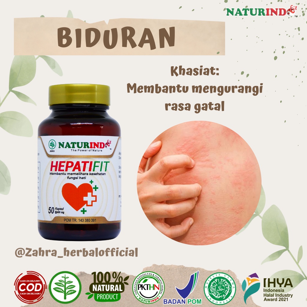 Obat Gatal Gatal Ampuh Biduran Eksim Obat Gatel Gatel Bentol Bentol Kulit Alergi Dingin Herbal Alami