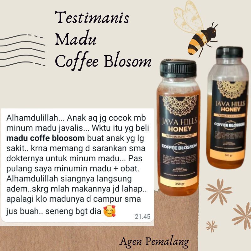 

Classica2106 Java Hills Honey Madu Coffee Blossom Asli Murni Premium Untuk Daya Tubuh Mengatasi