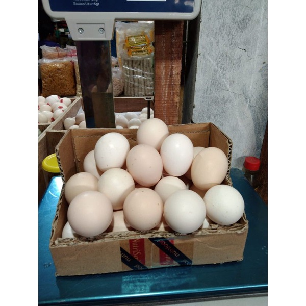 

telur kampung 1 butir