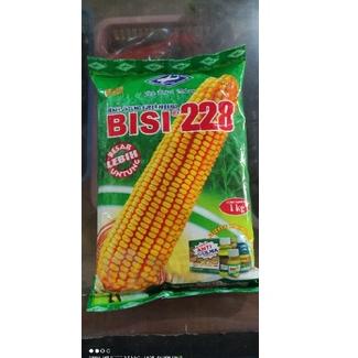 Serbu Produk benih jagung BISI 228 kemasan original kemasan 1kg