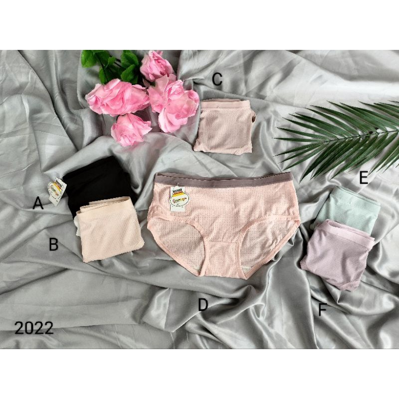 CELANA DALAM WANITA 2022, CD WANITA, PAKAIAN DALAM WANITA