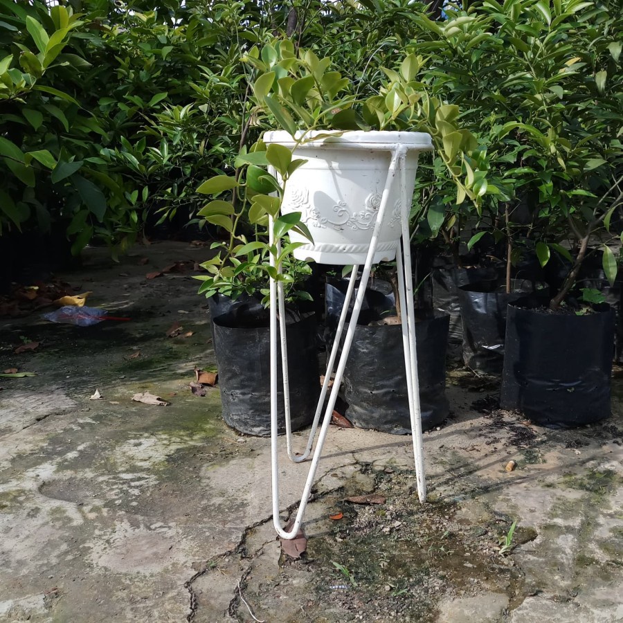 ZS / DIAMETER 30CM / RAK STANDING POT V BULAT / DUDUKAN POT TAMAN