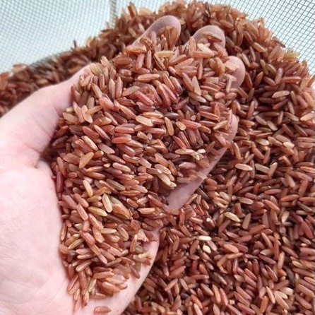 

Beras Merah Sosoh - Merk Bambu Wangi 10 KG