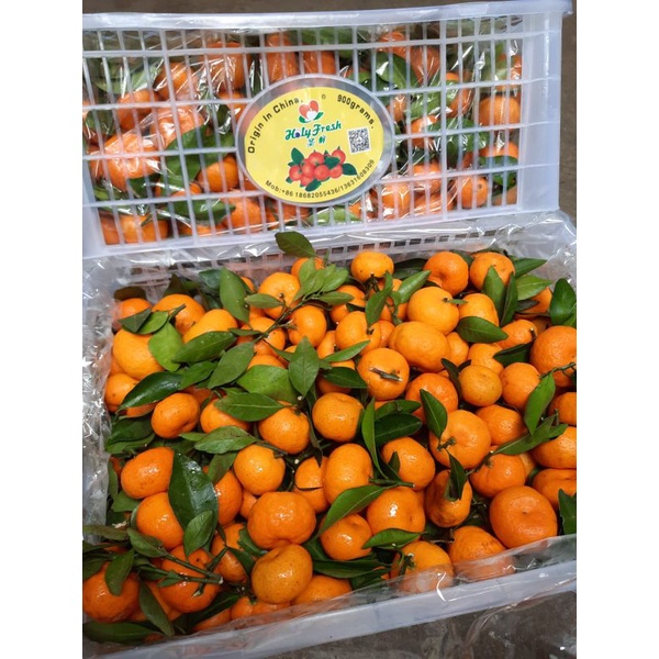 

Jeruk shantang daun 1kg
