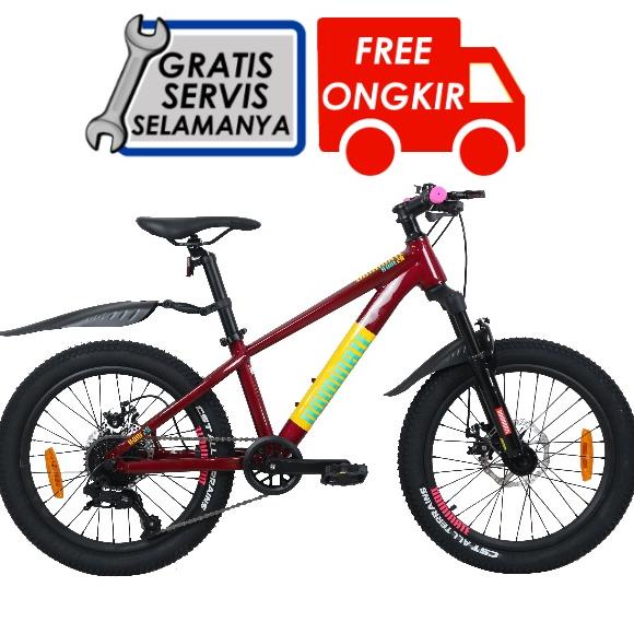 Dominate A-One Junior Sepeda MTB Anak 20 Inchi