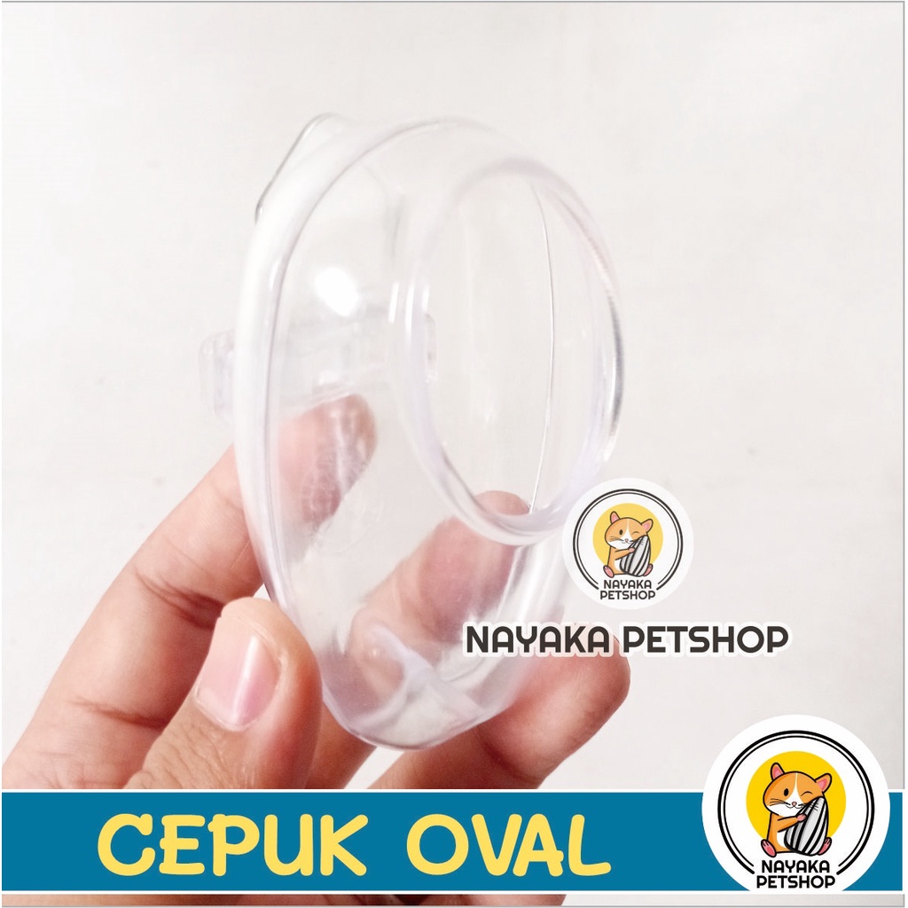 Cepuk Oval Tempat Pakan Wadah Minum Burung Kenari Love Bird Parkit