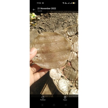 

KelempangTunuikansungai(mentah)isi50