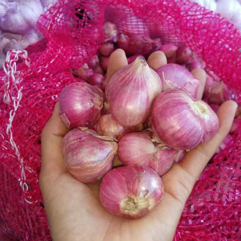 

BAWANG MERAH ALAHAN PANJANG SOLOK SUMBAR 500 gr