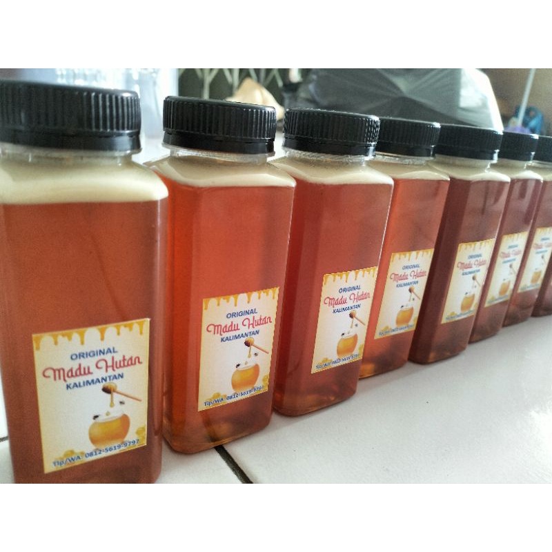 

Madu Hutan Asli Kalimantan