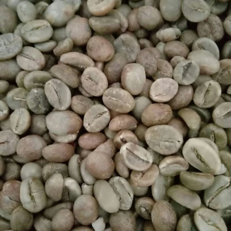

GREEN BEAN ROBUSTA 1 KG