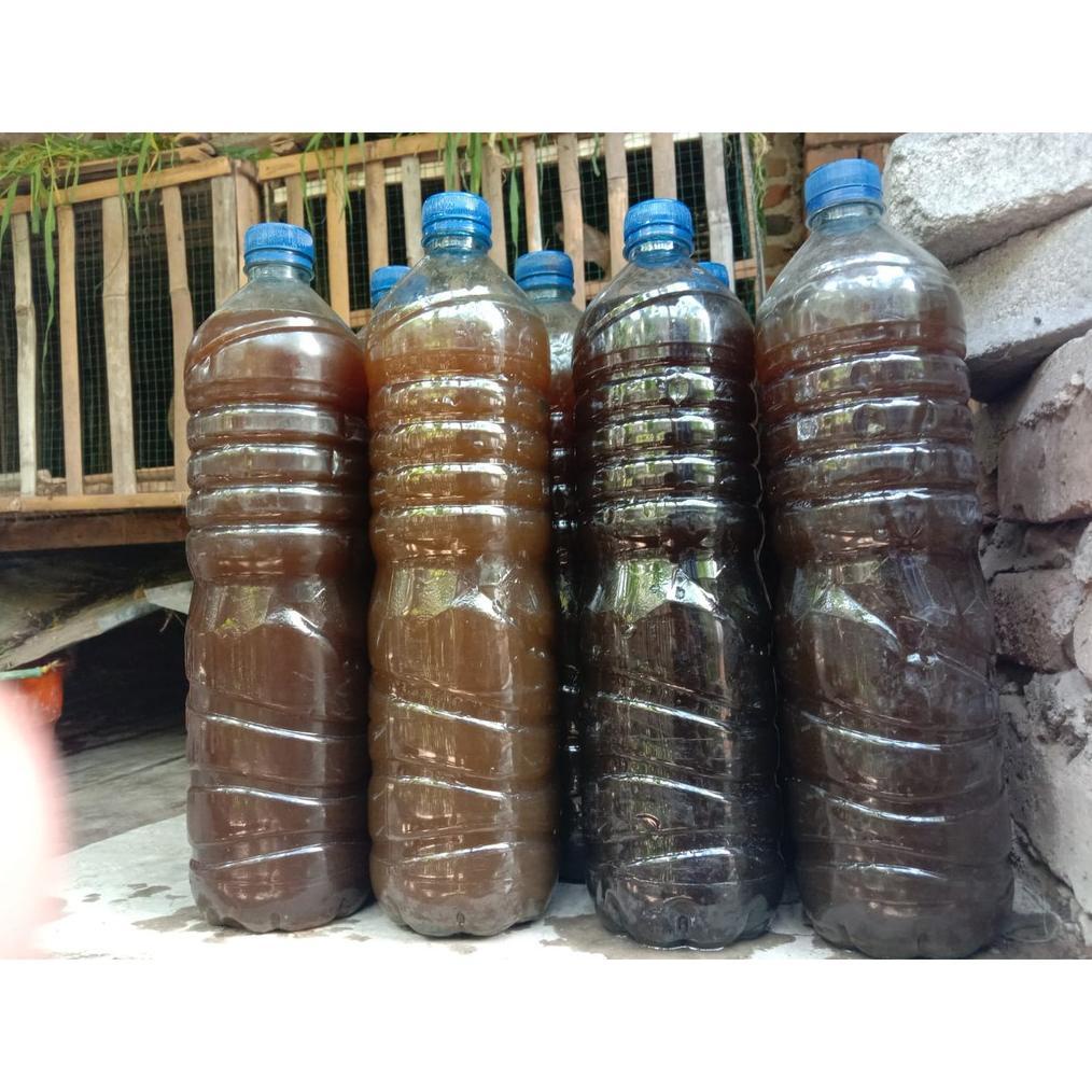 Pupuk Urine Kelinci Asli Rabuk Urine Kelinci 1Liter 1,5Liter Belum Terfermentasi Kualitas Terbaik