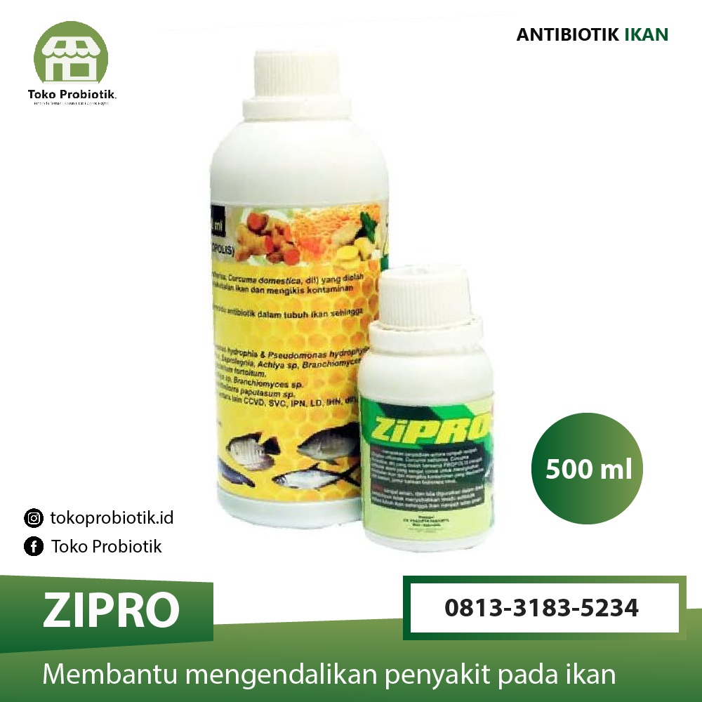 Obat Herbal Ikan ZIPRO, Antibiotik Alami untuk Bantu Mengatasi Penyakit pada Ikan